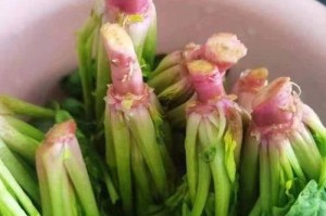如何正确洗菠菜？（菠菜清洗小技巧分享）