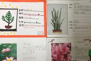 探秘桃花生长的奥秘（从萌芽到开花，看桃花如何成长成美丽之花）