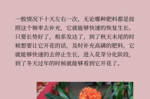 君子兰的种植与养护（初种君子兰，水到温度掌握好）
