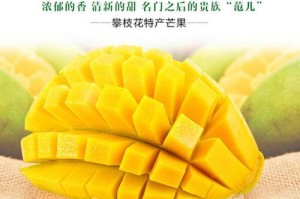 探秘凯特芒成熟上市季节（从生长环境到营养成分，揭秘凯特芒的成熟秘诀）