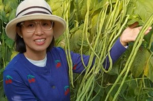 菜豆种植全攻略（时间、方法、注意事项，让你轻松上手）
