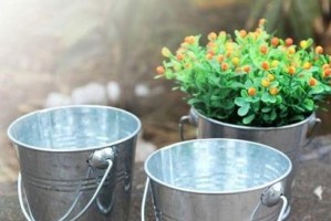 铁桶花园的精致之美（适合养什么花？——探讨铁桶花园的养花技巧）