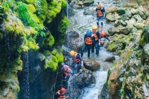 万重山的浇水频率（探究万重山的浇水时间及方法）