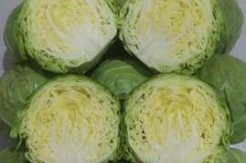 探究卷心菜和大头菜的异同（这两种蔬菜是否真的一样？）