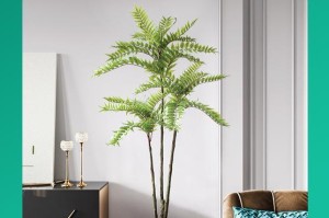 香椿树的盆栽种植方法（让你在家也能享受香椿美味）