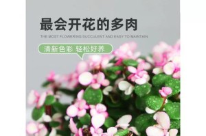 多肉金枝玉叶修剪全攻略（打造优美多肉造景，学会金枝玉叶修剪）