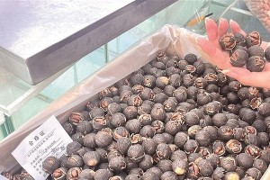 核桃成熟上市时间及注意事项（了解核桃成熟期，选购更加稳妥）