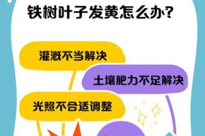 如何处理铁树叶子发黄问题（快速识别原因和有效解决办法）