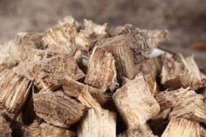 揭秘葛根（探究葛根的来源、功效、应用及食用方式）