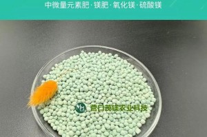 硫酸镁肥料的功效与应用（探究硫酸镁作为农业肥料的优势和营养成分）