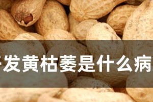 花生花叶病的症状、防治方法及注意事项