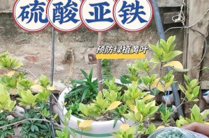 如何调节养花土的碱性（有效应对土壤碱性问题，打造理想的花卉生长环境）