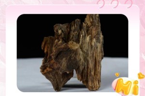沉香树的神奇功效（探究沉香树在生活中的作用）