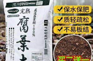 基质土养花的技巧与方法（如何利用基质土种植健康美丽的花朵）