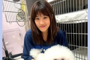 梧桐树代表的生肖（探究梧桐树象征的生肖和文化内涵）