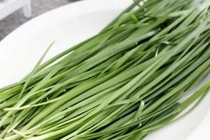 探究韭菜全年生长特点，了解合理的种植方法（一年四季，韭菜常在）