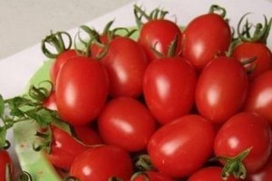 圣女果（生产季节、品质、食用方式，一篇全面解析！）