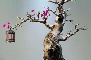 如何让盆栽三角梅长得更大（肥料、修剪和适宜的环境是关键）