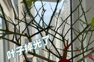 水梅叶子掉光的处理方法（保护水梅树的叶子，让它永远绿意盎然）