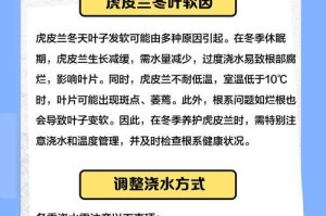 虎皮兰叶子发蔫原因及补救方法（了解虎皮兰的生长环境，正确照顾你的虎皮兰）
