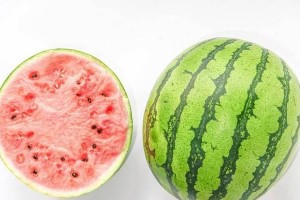 甘蔗的碳水化合物含量及营养价值（探究甘蔗中的碳水化合物成分及其对身体的重要性）