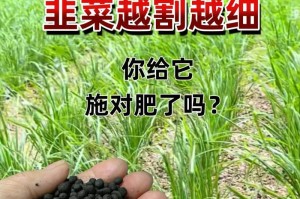 韭菜肥料怎么选？（选择肥料要根据土壤和生长阶段权威指南）