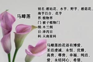 以马蹄莲的浇水技巧（合理浇水的关键和注意事项）
