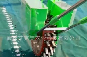 白菜施肥的正确方法（选择合适的肥料，让白菜生长更健康）