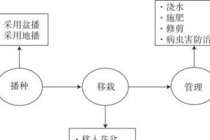 花草病虫害防治技术与方法措施（花草病虫害防治，从预防开始）