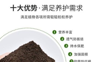 黑土多肉种植指南（探秘黑土肥沃的多肉培育方法）