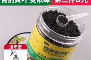 虎皮兰叶子发黄的原因和解决方法（绿植保养必须知道的注意事项）