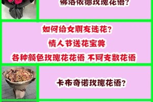 玫瑰的花语——解密43朵玫瑰（了解玫瑰花语的关键——43朵玫瑰代表什么）
