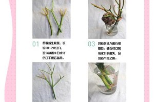 以水培怎么换水（简单易学的水培换水方法）