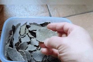 以豆浆渣制作花肥（充分利用豆浆渣，为花卉提供丰富养分）