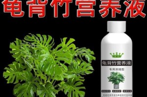 龟背竹叶子发软下垂原因及补救方法（分析龟背竹生长环境、养护方法及如何恢复叶子的硬度和韧性）