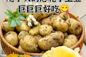 从外观到食用，了解土豆的多样性（从外观到食用，了解土豆的多样性）