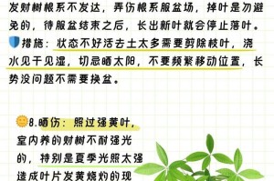 金苞花叶子发黄怎么办（金苞花叶子发黄的原因及护理方法）