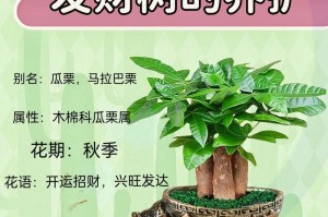 如何快速让发财树茁壮成长？（关键步骤和技巧，帮助发财树早日成为您财富的象征。）