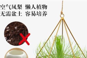 打造美味的家庭凤梨园（家庭凤梨养护技巧大揭秘）