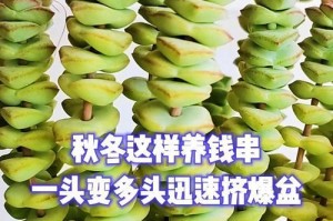 如何应对经济困难时期的资金紧缺问题（以钱串头软了怎么办？实用解决方案与建议）