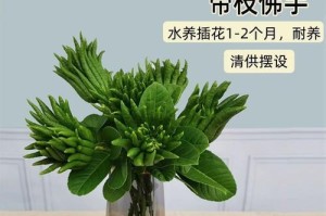 金佛手盆栽的养殖方法（打造绿色家居的明智选择）