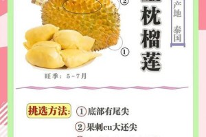 如何选择优质的榴莲品种（掌握这些关键因素，挑选出最佳榴莲）