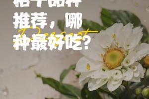 以吃完桔子的籽怎么种（从剩余物到绿色盛宴，桔子籽的种植奇迹）