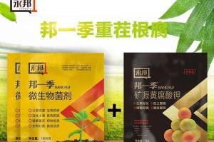 香蕉病毒病的防治（症状及药物选择）