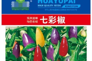 如何让彩椒快速发芽？（彩椒发芽技巧，快速育苗）