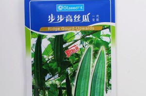 丝瓜种植全攻略（一年多少次，生长期多久？——让你轻松掌握丝瓜种植技巧）