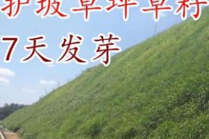 高羊茅草籽的最佳播种时间