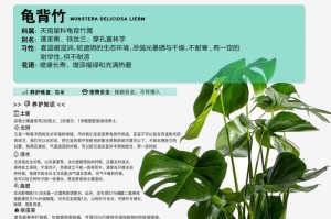 龟背竹的浇水技巧（每天浇水会影响龟背竹的生长？）