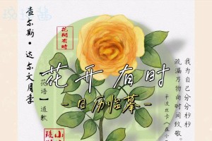 达尔文月季的生长习性及特点（探究达尔文月季的分类与生长）