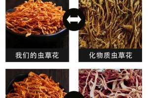 食虫草养殖详解（了解食虫草的特性与种类，掌握养殖要点，打造美丽的食虫草园）